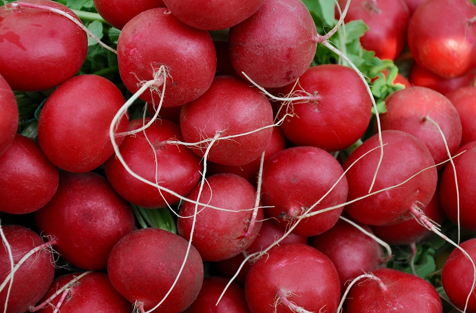 Vegetables radish food