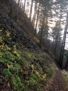 Angel's Rest Trail Nov. 29, 2018 Columbia River Gorge National Scenic Area
