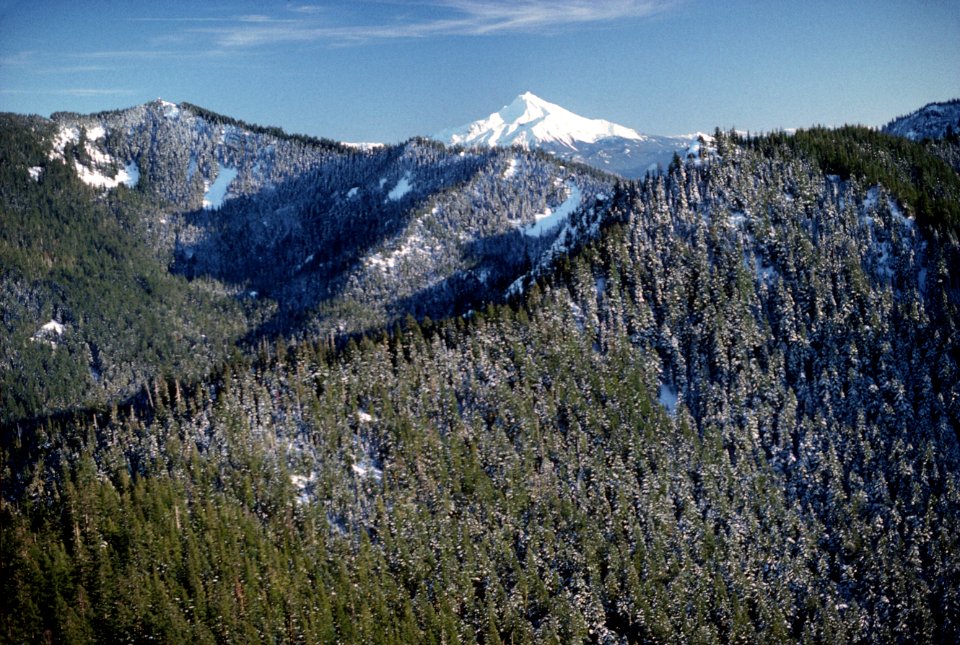 Salmon River Canyon in Winter, Mt Hood National Forest.jpg