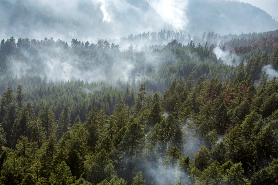 Umpqua National Forest Fires, 2017