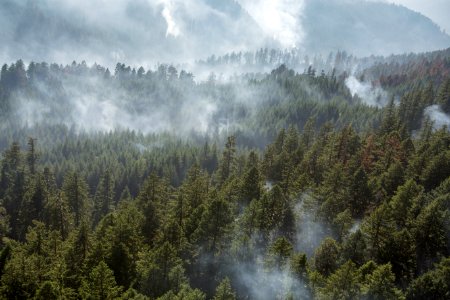 Umpqua National Forest Fires, 2017