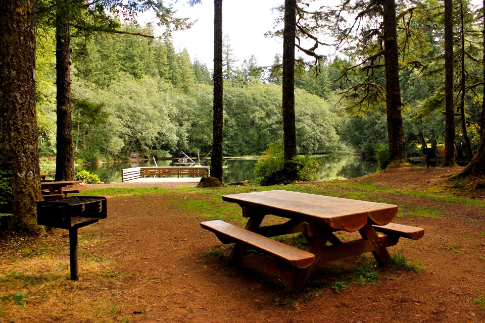 Picnic area at Hebo Lake Campground on the Siuslaw National Forest