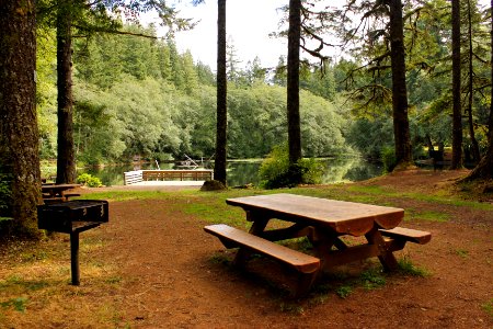Picnic area at Hebo Lake Campground on the Siuslaw National Forest photo