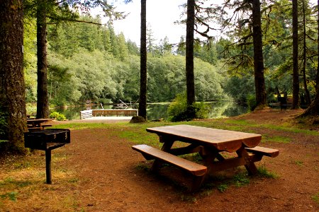 Picnic area at Hebo Lake Campground on the Siuslaw National Forest