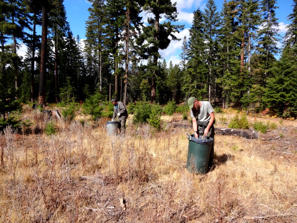 2018 FS MtHood Botany field work.