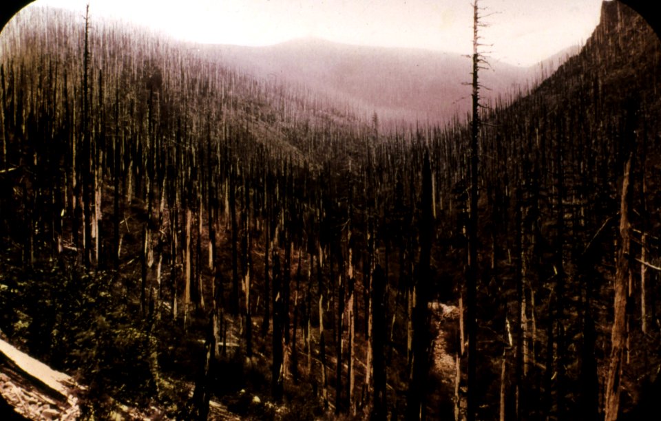 392047 Yacolt Burn, Columbia NF 1936