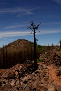 View from Pacific Crest Trail in July 2018 in the Columbia River Gorge, photo courtesy of through-hiker Eva-Maria Mauz.