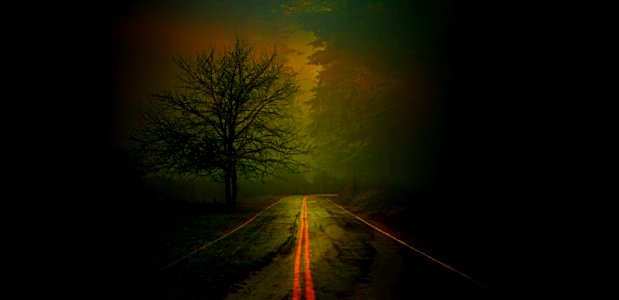 l'albero e la strada
