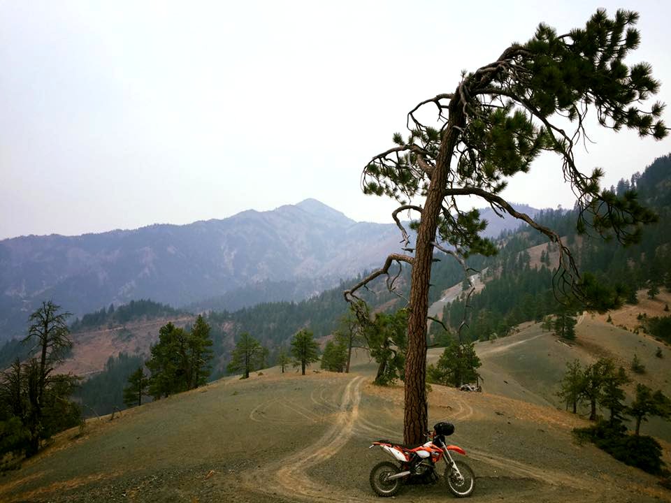 Motorcycle-FS TrailbikeParkedNextToTree-OkaWenNFbyMasonSchuurUSFS-Aug25-2018