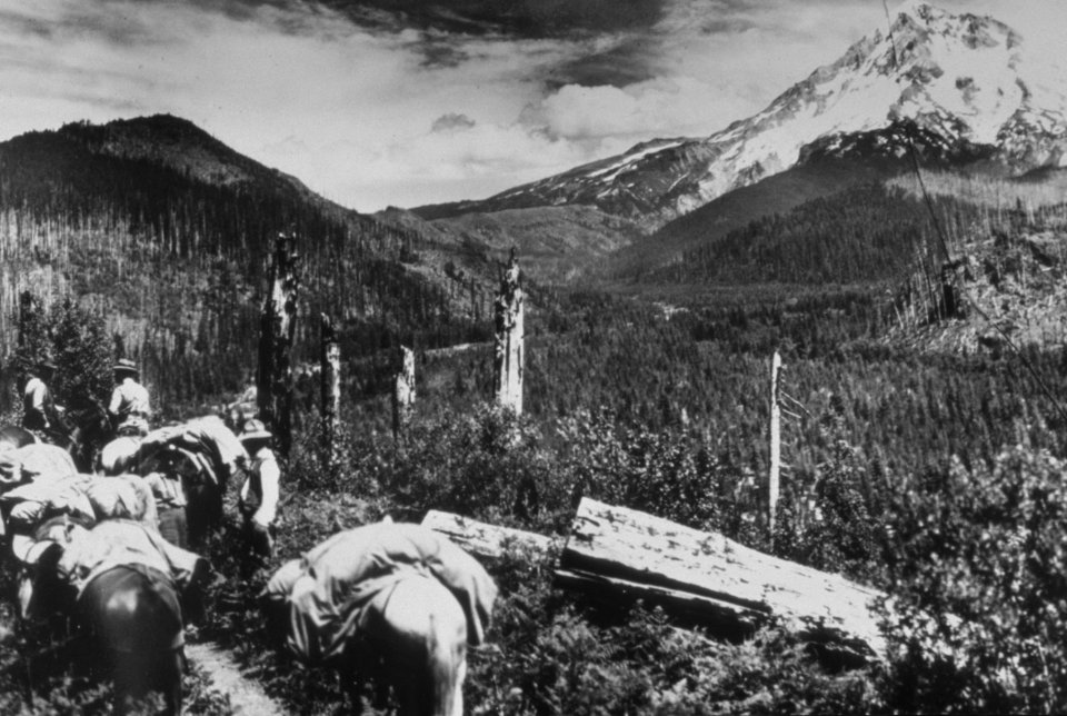 311  Mt Hood Nat'l Forest, pack train heading up to Lolo Pass