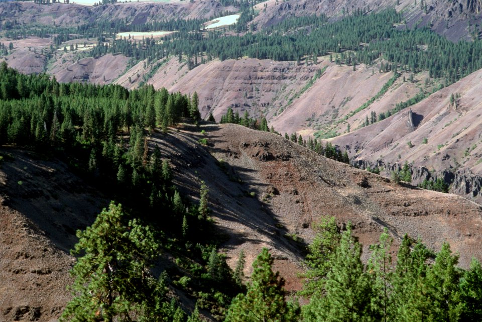 Umatilla Breaks, Umatilla National Forest.jpg