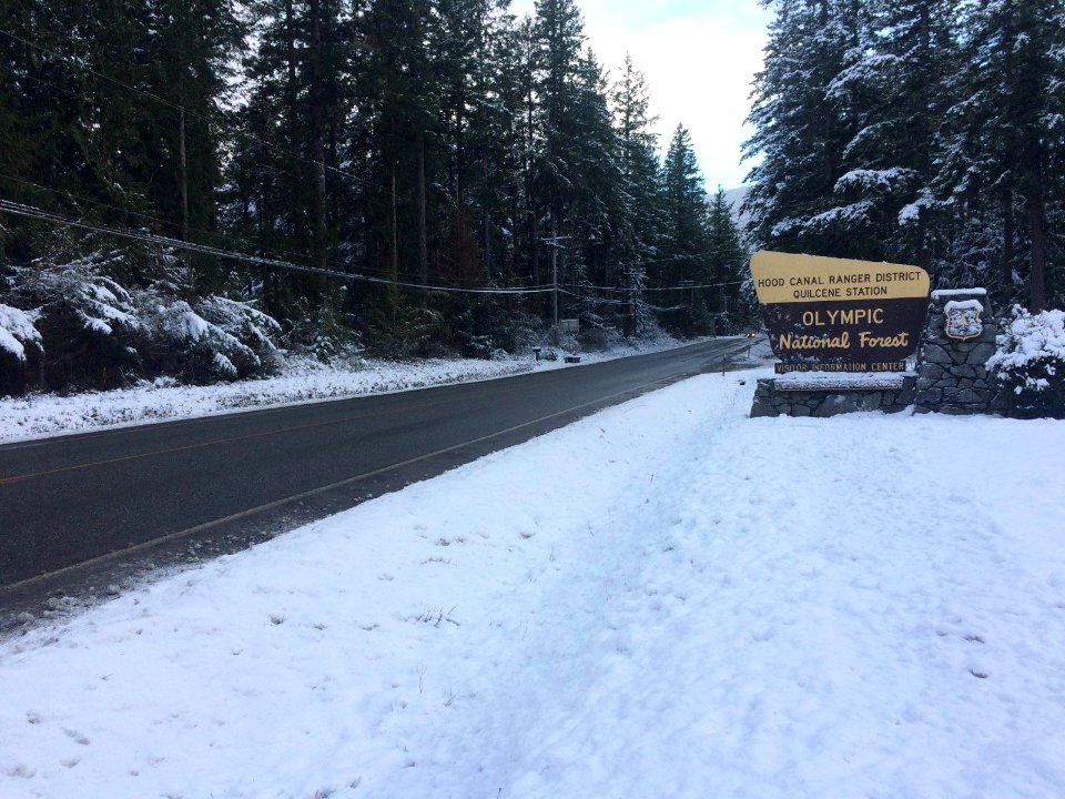 Light dusting of snow in Quilcene, WA Feb. 4, 2019.