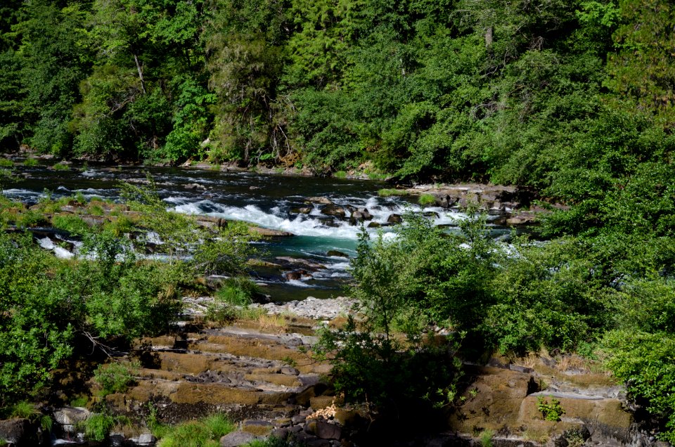 Recreation on the "Wild and Scenic" north Umpqua River