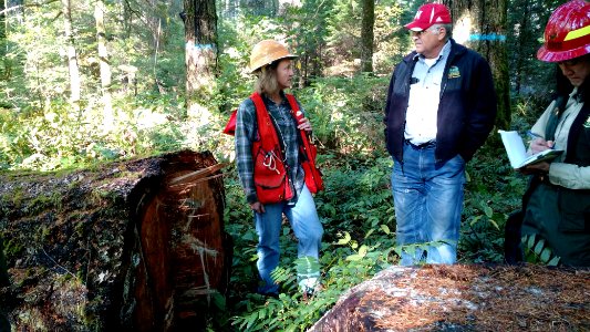 Forest scientists and recreation staff review tree disease at Falls View Campground Oct. 2017.