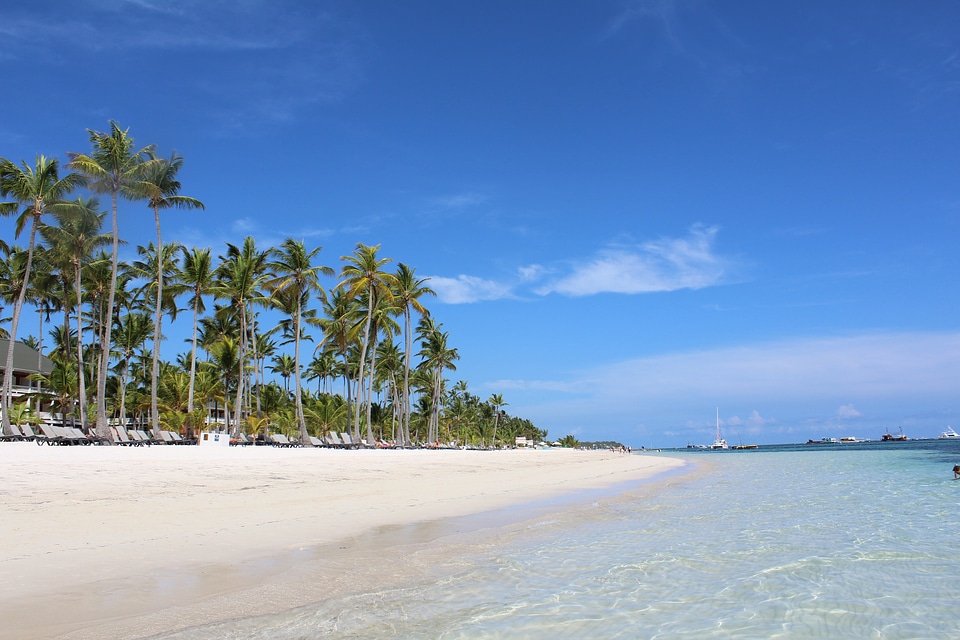 Tropical travel blue
