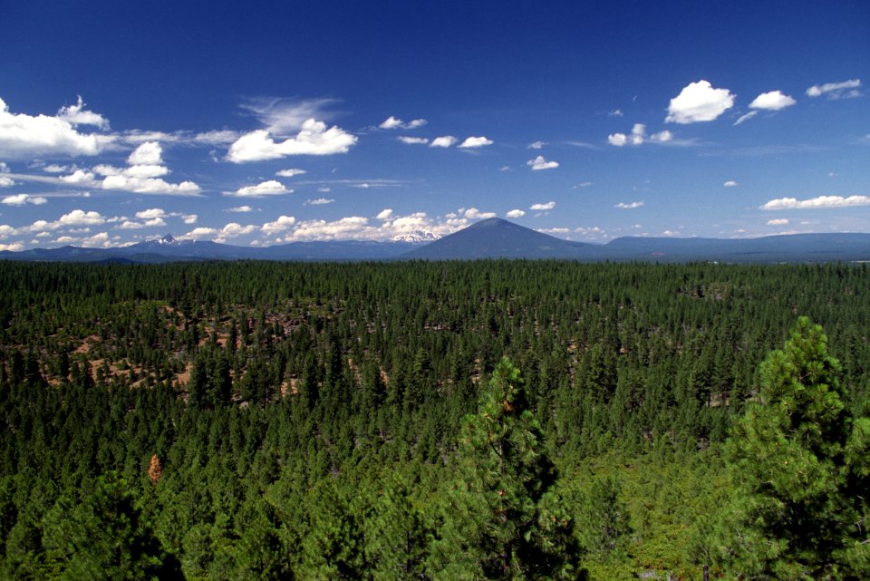 Central Oregon Cascades, Deschutes National Forest.jpg