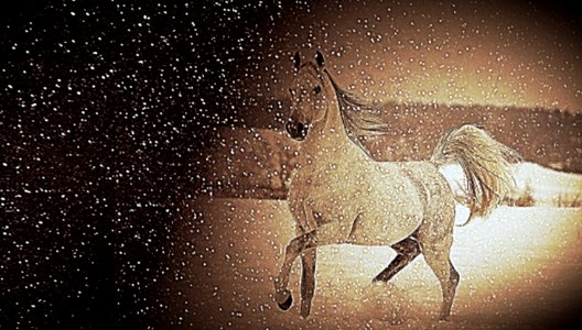 il cavallo e i fiocchi