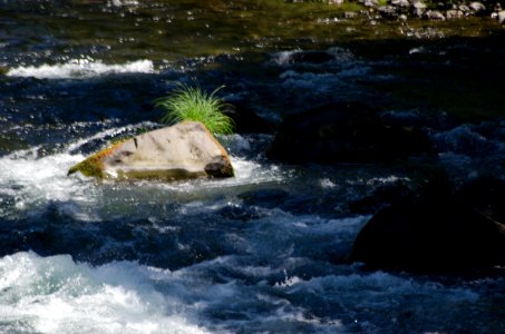 River recreation on the "Wild and Scenic" north Umpqua River photo