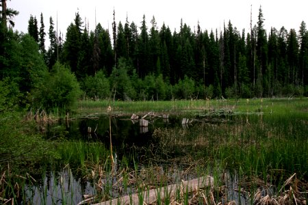 Colville National Forest, Ferry Lake