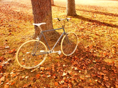 SUNSHINE on a WINTER'S DAY