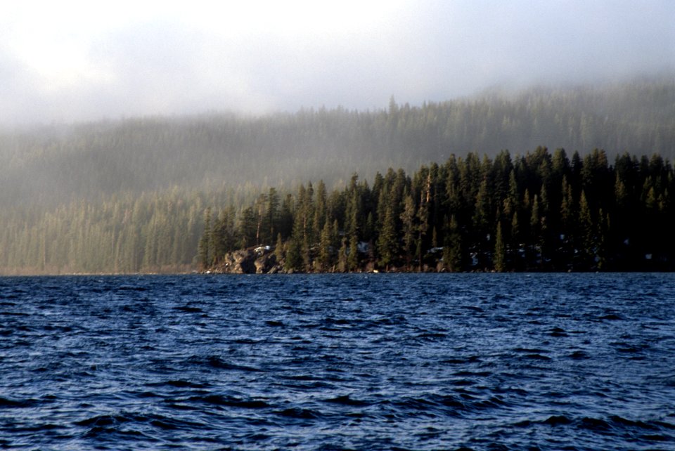 Willamette National Forest, Odell Lake.jpg