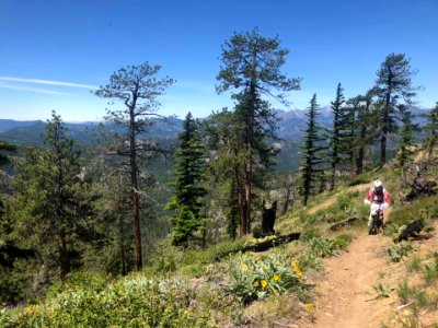 TrailCrewpersonOnMotorcycleOnTronsen-RedHillTrail-OkaWenNFbyMasonSchuurUSFSJune2019