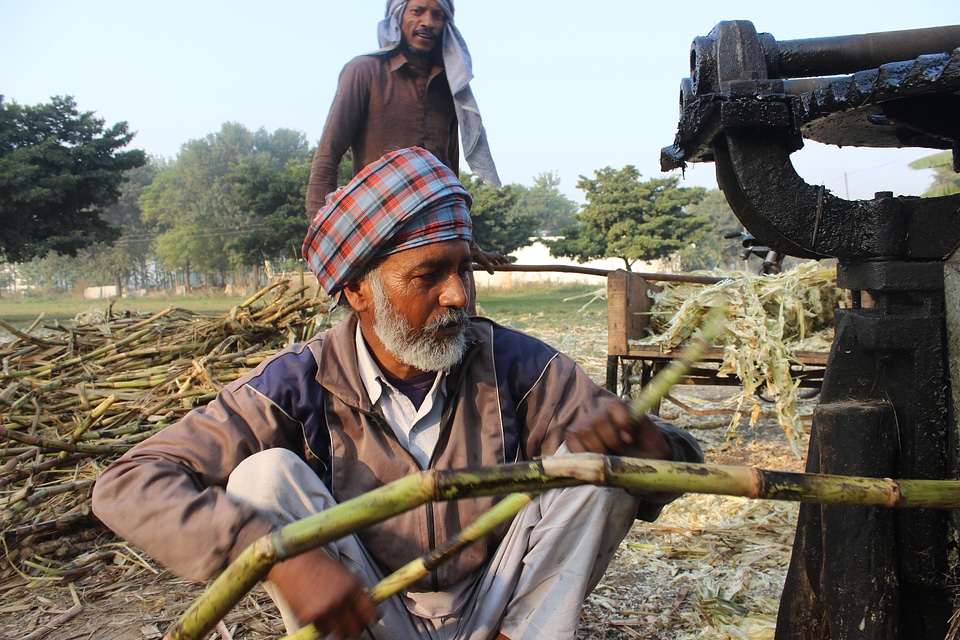Machine punjab jaggery