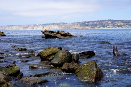 La Jolla Cove, CA (Unedited)