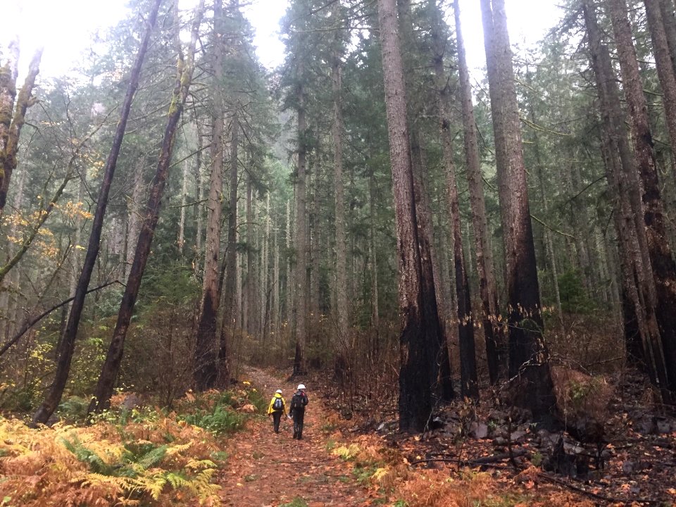 Pacific Crest Trail initial assessment