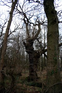 IMG 0564 (2)