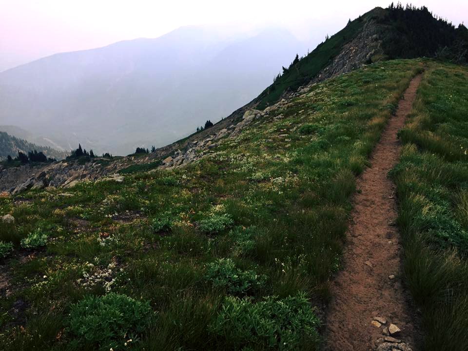 TrailGoingUphillThroughGrass-OkaWenNFbyMasonSchuurUSFS-Aug12-2018