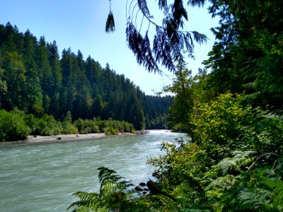 Summertime Sauk River along Old Sauk Trail, Mt. Baker-Snoqualmie National Forest. Photo by Anne Vassar July 30, 2020.