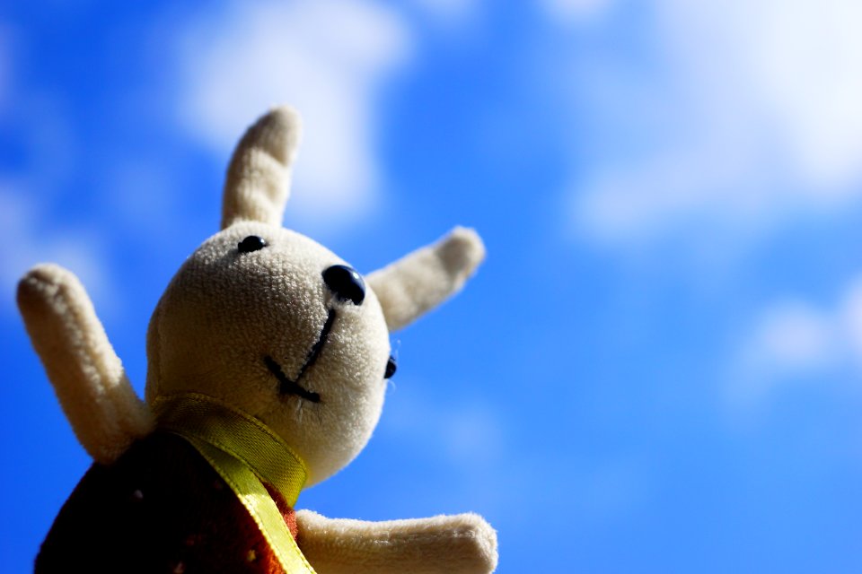 Sky Rabbit