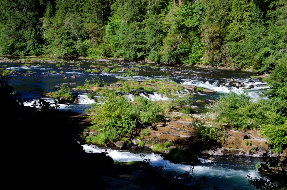 Recreation on the "Wild and Scenic" north Umpqua River
