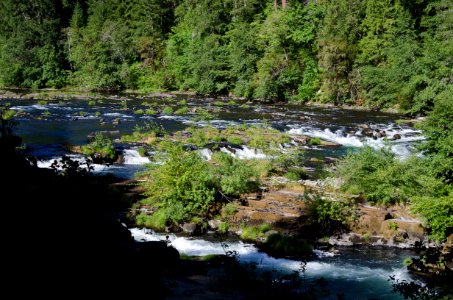 Recreation on the "Wild and Scenic" north Umpqua River