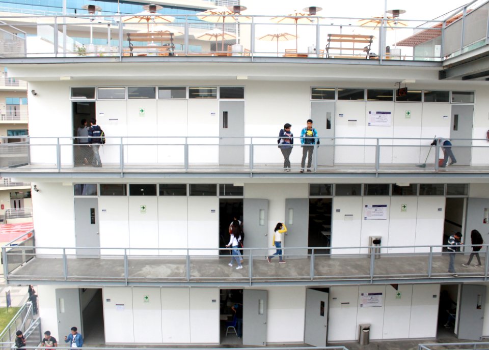 Vida universitaria