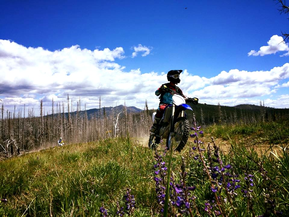 Motorcycle-TronsenRidgeTrailRideSomePurpleFlowers-OkaWenNFbyMasonSchuurUSFS-June17-2018