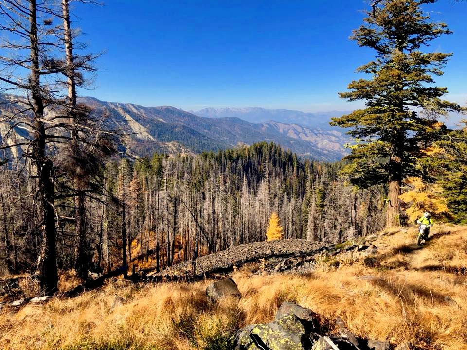 Motorcycle-FS TrailCrewPersonOnMotorcycleFallColorsOkaWenNFbyRandyDietrichUSFS-Oct2018