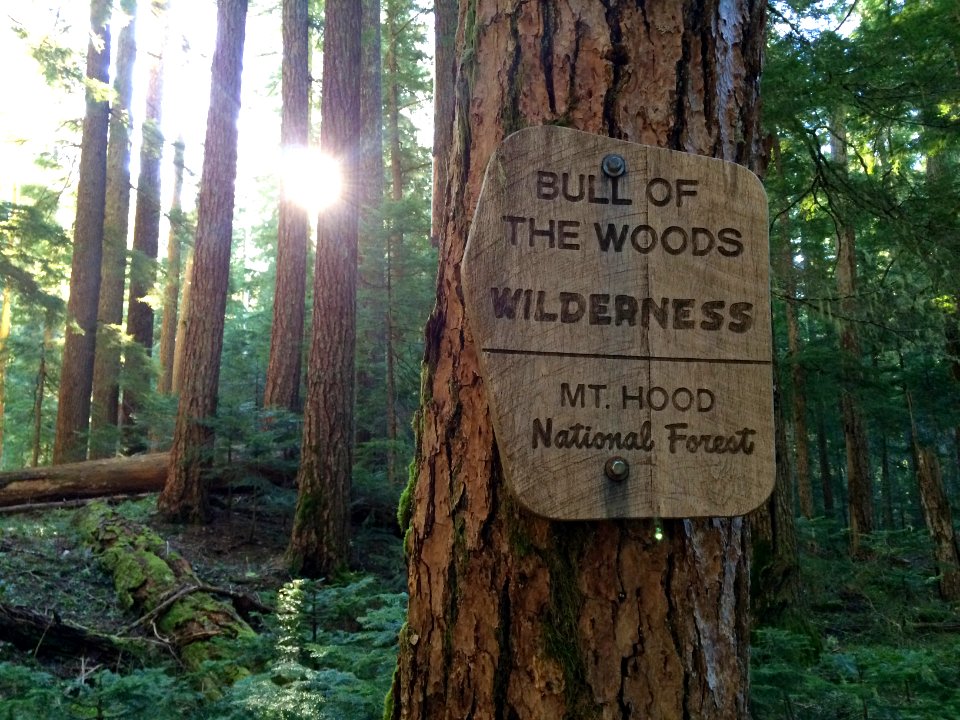 Bull of the Woods Wilderness sign on the Mt. Hood National Forest
