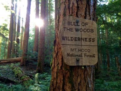 Bull of the Woods Wilderness sign on the Mt. Hood National Forest