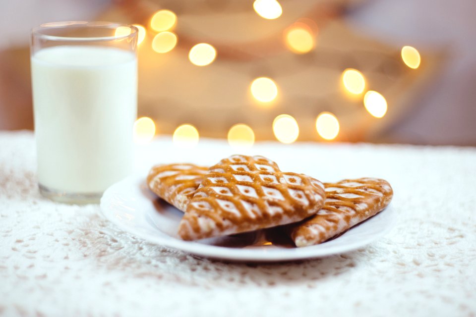 Gingerbread cookies and milk photo