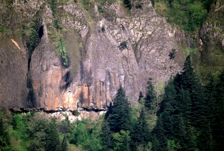 Forest and Basalt, Columbia River Gorge National Scenic Area.jpg photo