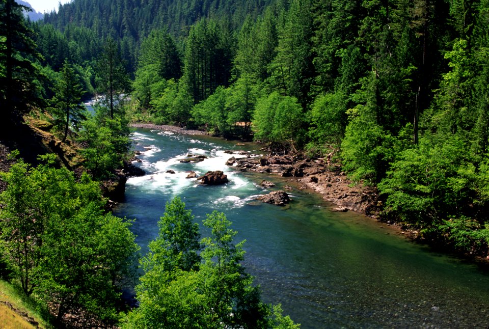Clackamas River, Mt Hood National Forest-2.jpg
