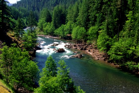 Clackamas River, Mt Hood National Forest-2.jpg