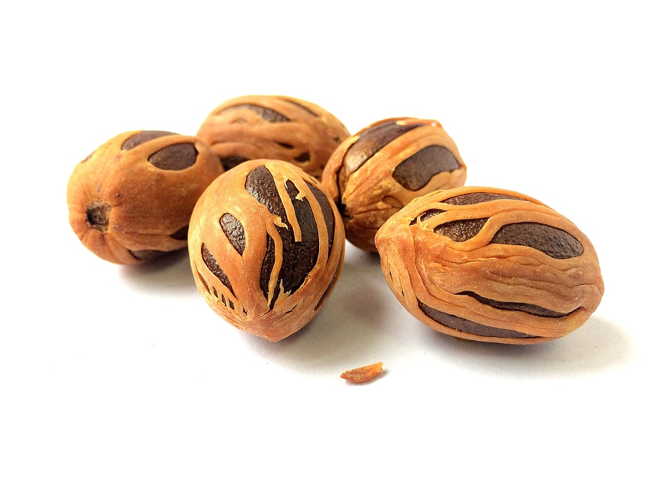 Muskat nutmeg myristica fragrans