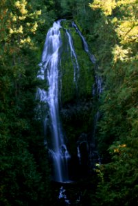 Willamette National Forest, Proxy Falls-2.jpg