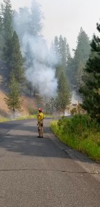 A firefighters monitors progress of Canyon 66 Prescribed fire