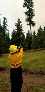A firefighters shoots a flare to ignite a section of the Canyon 66 Prescribed fire