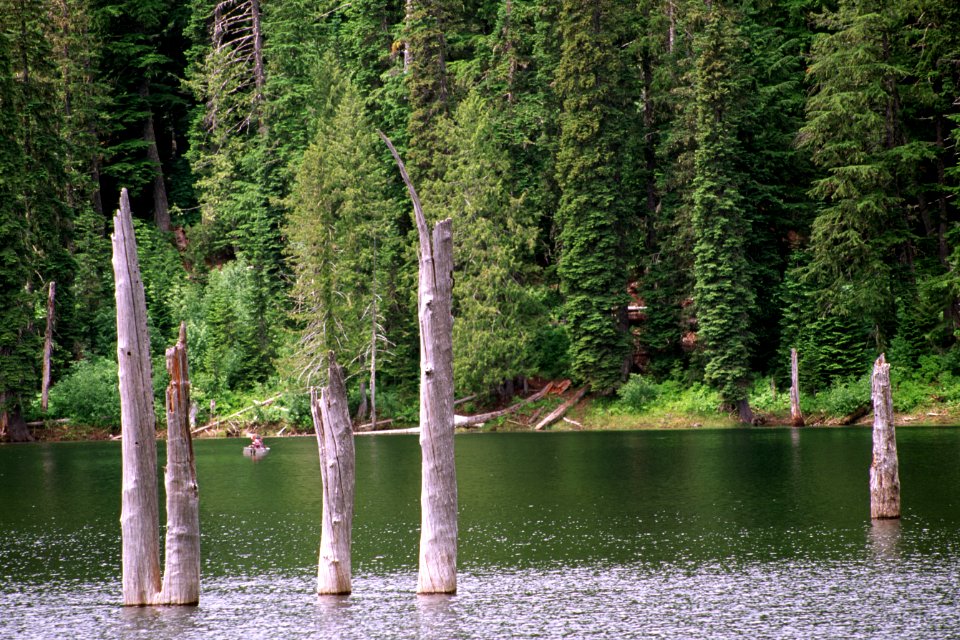 Gifford Pinchot National Forest, Goose Lake.jpg
