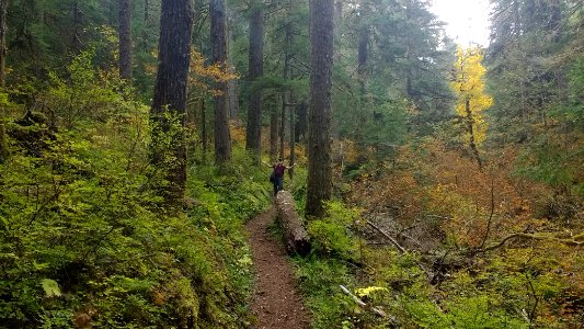 20191013 GPNF PacificCrestTrail